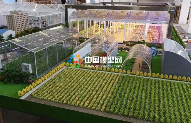  農(nóng)業(yè)大棚模型，畜牧養(yǎng)殖沙盤模型